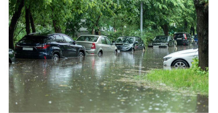 Predicting disaster risk perception and preparedness around the world.