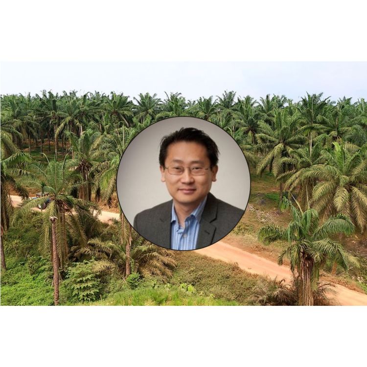 Chee Yew Wong and colleagues a paper: Transparency or Map-Washing? Digital Geospatial Visualisation Tools in the Palm Oil Industry, published in the Business Strategy and The Environment Journal.