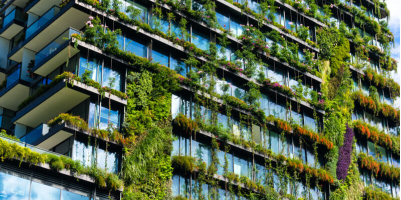 building covered in plants