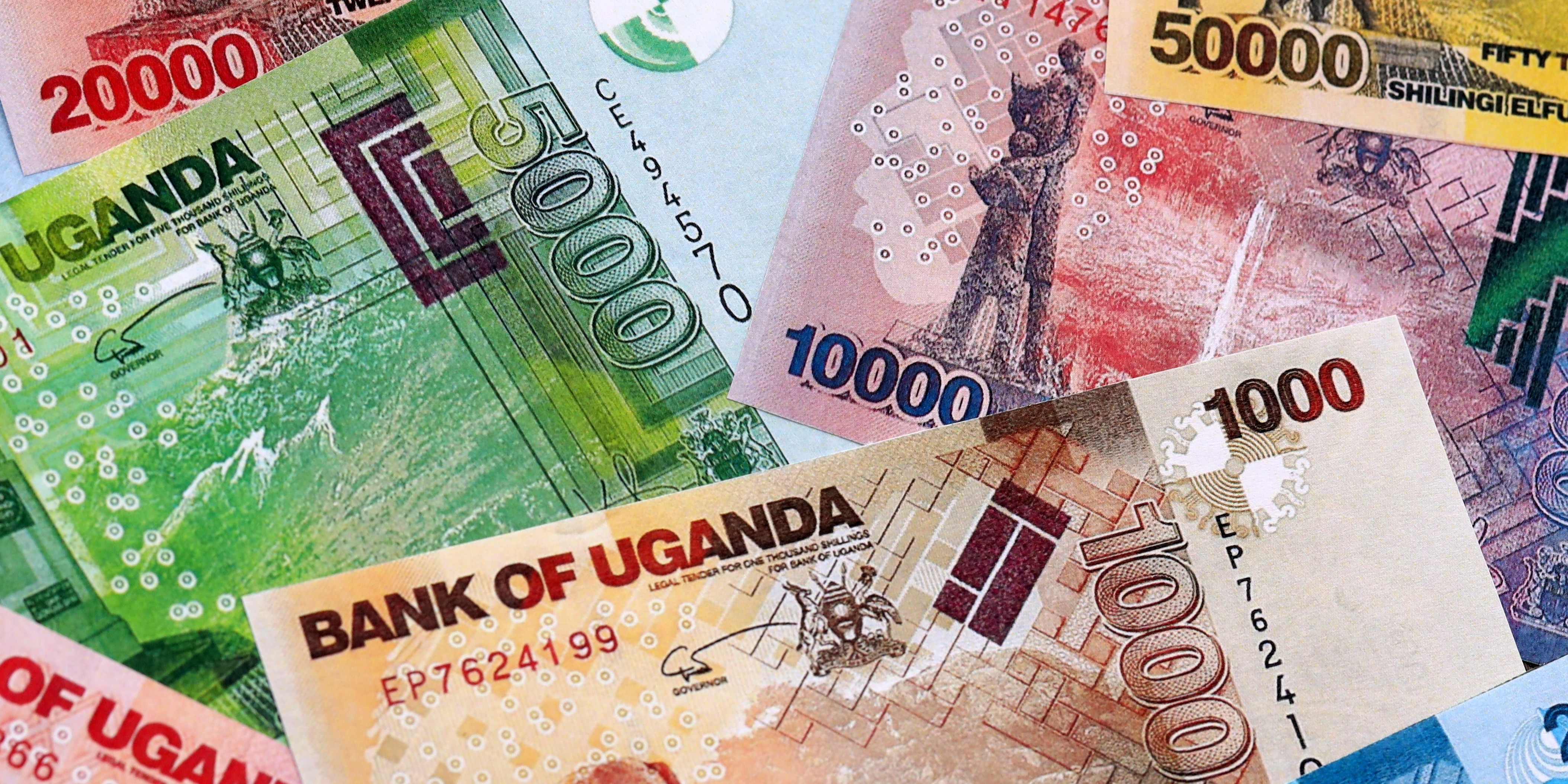 A spread of Ugandan banknotes in various denominations