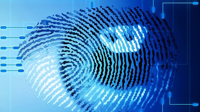 Fingerprint graphic