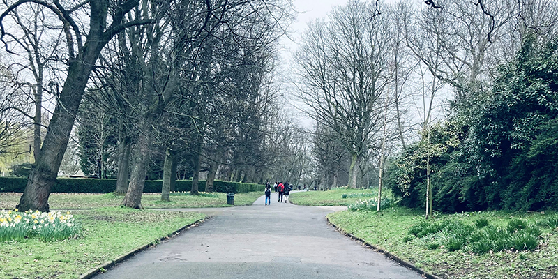 Path in a park with students walking in the distance