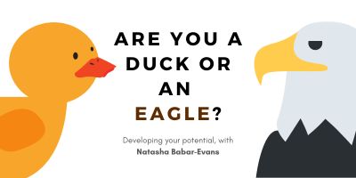 A picture of a duck and an eagle with the title 'Are you a duck or an eagle?'