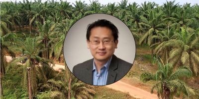 Chee Yew Wong and colleagues a paper: Transparency or Map-Washing? Digital Geospatial Visualisation Tools in the Palm Oil Industry, published in the Business Strategy and The Environment Journal.