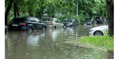 Predicting disaster risk perception and preparedness around the world.