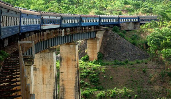 Train on a bridge in an exotic terrain