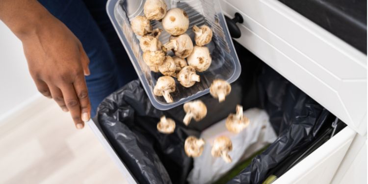 Pack of mushrooms being thrown into a bin