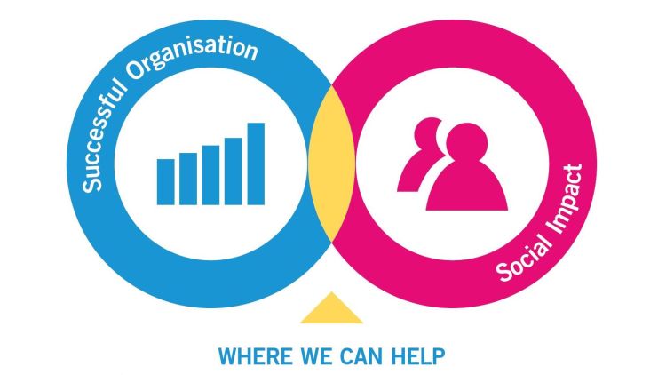 graphic showing 2 interconnected circles. the One to the left says Successfull Organisation, the one to the right says social impact. The point where they intersect says wher we can help.