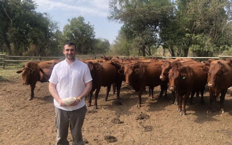 Peter Gittins stood in front of cows on a farm in South Africa