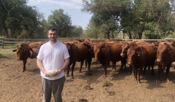 Peter Gittins stood in front of cows on a farm in South Africa